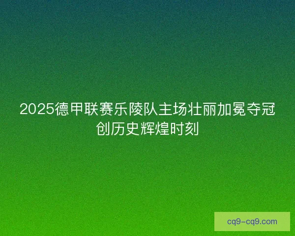 2025德甲联赛乐陵队主场壮丽加冕夺冠创历史辉煌时刻